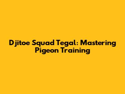 Djitoe Squad Tegal: Mastering Pigeon Training