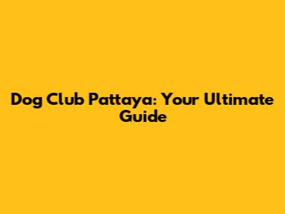 Dog Club Pattaya: Your Ultimate Guide