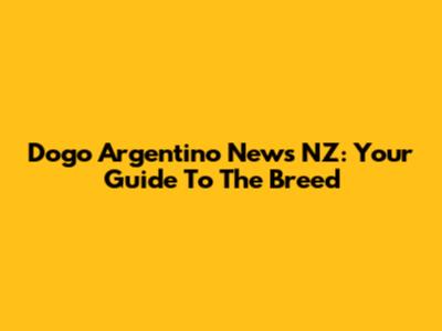 Dogo Argentino News NZ: Your Guide To The Breed