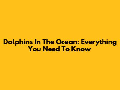 Dolphins In The Ocean: Everything You Need To Know