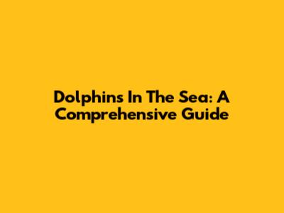Dolphins In The Sea: A Comprehensive Guide