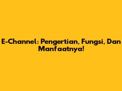 E-Channel: Pengertian, Fungsi, Dan Manfaatnya!