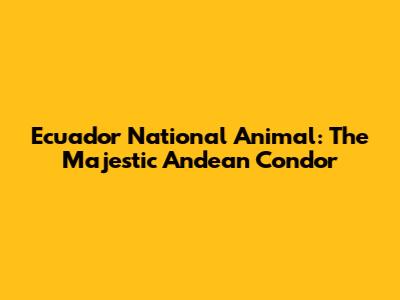 Ecuador National Animal: The Majestic Andean Condor