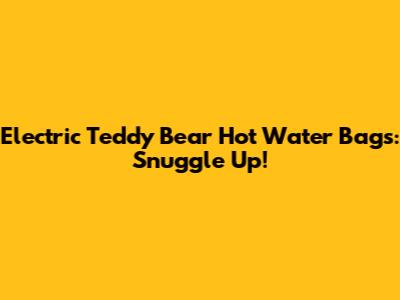Electric Teddy Bear Hot Water Bags: Snuggle Up!