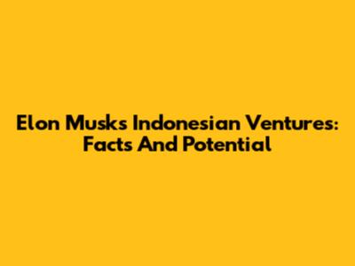 Elon Musk's Indonesian Ventures: Facts And Potential