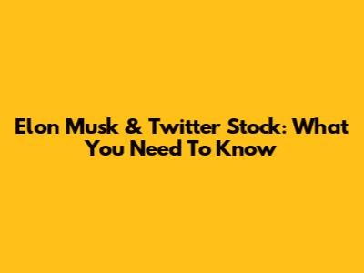 Elon Musk & Twitter Stock: What You Need To Know