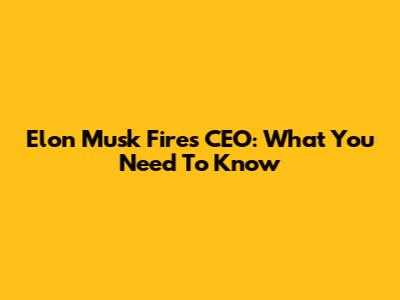 Elon Musk Fires CEO: What You Need To Know