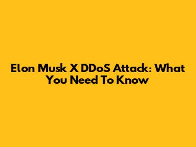 Elon Musk X DDoS Attack: What You Need To Know
