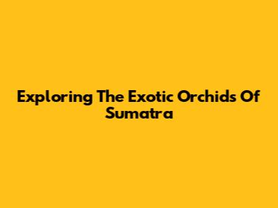 Exploring The Exotic Orchids Of Sumatra