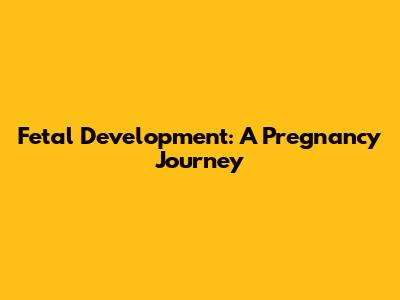 Fetal Development: A Pregnancy Journey