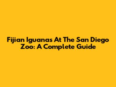 Fijian Iguanas At The San Diego Zoo: A Complete Guide