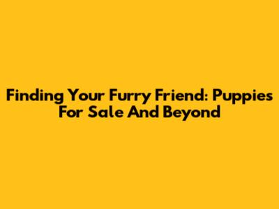 Finding Your Furry Friend: Puppies For Sale And Beyond