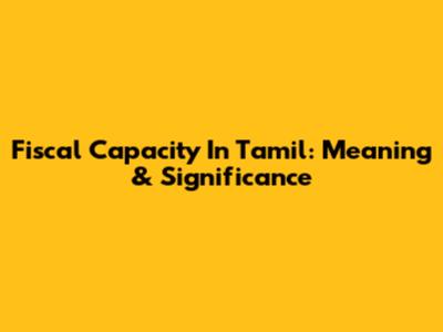 Fiscal Capacity In Tamil: Meaning & Significance