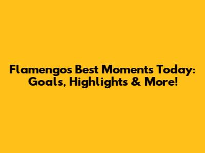 Flamengo's Best Moments Today: Goals, Highlights & More!
