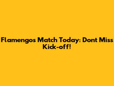Flamengo's Match Today: Don't Miss Kick-off!