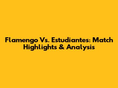 Flamengo Vs. Estudiantes: Match Highlights & Analysis