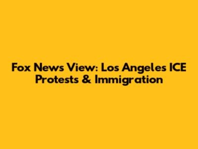 Fox News' View: Los Angeles ICE Protests & Immigration