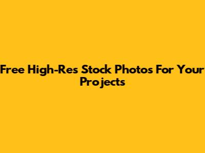 Free High-Res Stock Photos For Your Projects