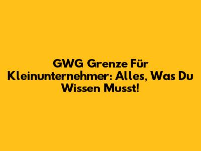 GWG Grenze Für Kleinunternehmer: Alles, Was Du Wissen Musst!