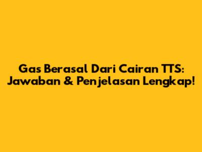 Gas Berasal Dari Cairan TTS: Jawaban & Penjelasan Lengkap!