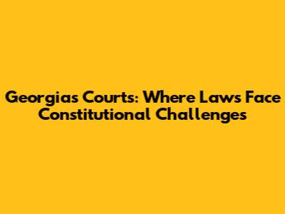 Georgia's Courts: Where Laws Face Constitutional Challenges