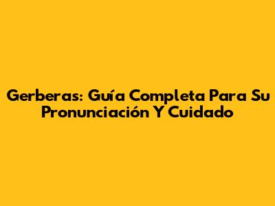 Gerberas: Guía Completa Para Su Pronunciación Y Cuidado
