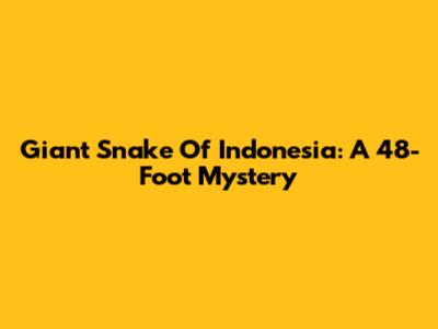Giant Snake Of Indonesia: A 48-Foot Mystery