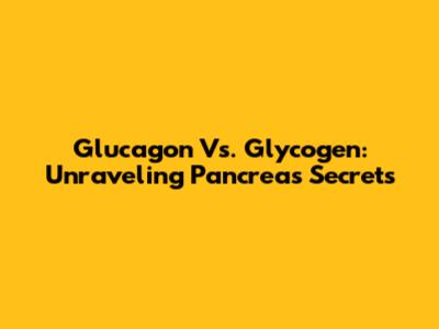 Glucagon Vs. Glycogen: Unraveling Pancreas Secrets