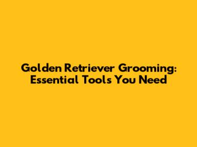 Golden Retriever Grooming: Essential Tools You Need