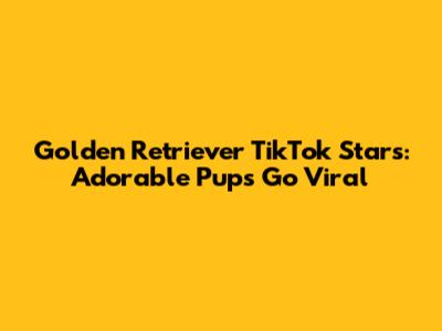 Golden Retriever TikTok Stars: Adorable Pups Go Viral