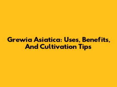 Grewia Asiatica: Uses, Benefits, And Cultivation Tips