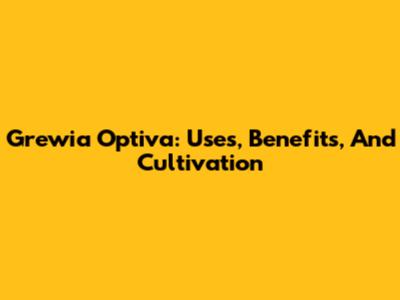 Grewia Optiva: Uses, Benefits, And Cultivation