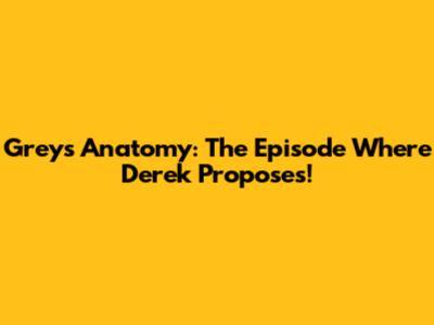 Grey's Anatomy: The Episode Where Derek Proposes!