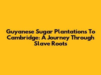 Guyanese Sugar Plantations To Cambridge: A Journey Through Slave Roots