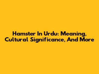 Hamster In Urdu: Meaning, Cultural Significance, And More
