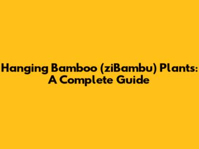 Hanging Bamboo (ziBambu) Plants: A Complete Guide