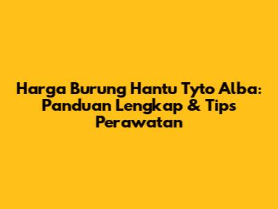 Harga Burung Hantu Tyto Alba: Panduan Lengkap & Tips Perawatan