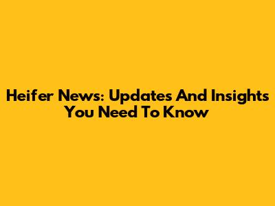 Heifer News: Updates And Insights You Need To Know