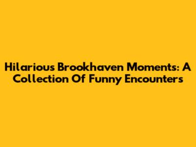 Hilarious Brookhaven Moments: A Collection Of Funny Encounters