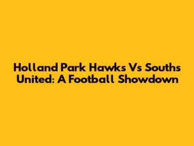 Holland Park Hawks Vs Souths United: A Football Showdown