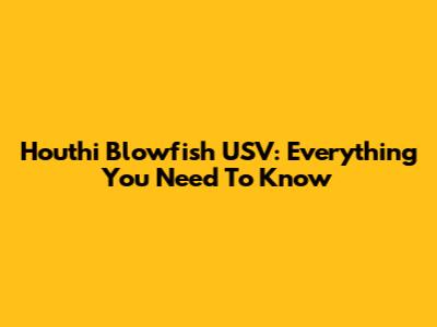 Houthi Blowfish USV: Everything You Need To Know