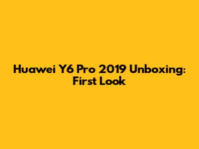 Huawei Y6 Pro 2019 Unboxing: First Look