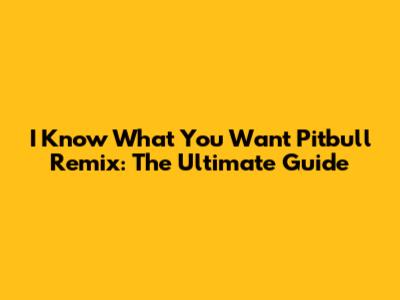 I Know What You Want Pitbull Remix: The Ultimate Guide