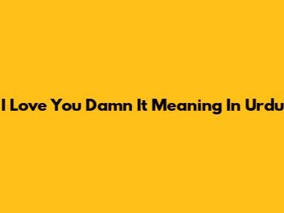I Love You Damn It Meaning In Urdu
