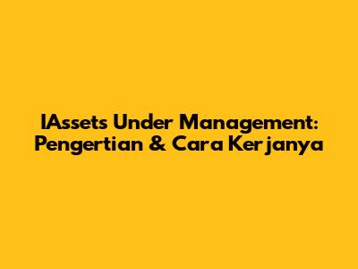 IAssets Under Management: Pengertian & Cara Kerjanya