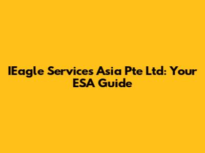 IEagle Services Asia Pte Ltd: Your ESA Guide