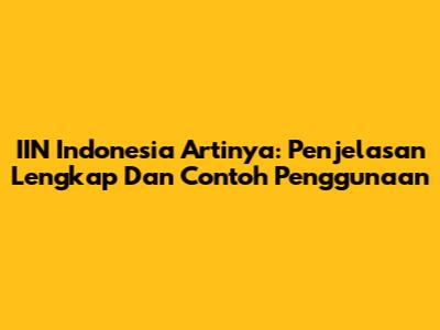 IIN Indonesia Artinya: Penjelasan Lengkap Dan Contoh Penggunaan