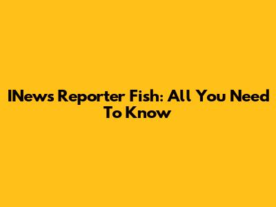 INews Reporter Fish: All You Need To Know