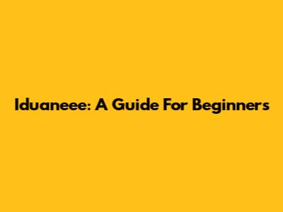 Iduaneee: A Guide For Beginners