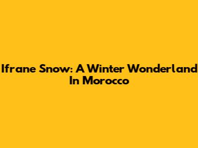 Ifrane Snow: A Winter Wonderland In Morocco